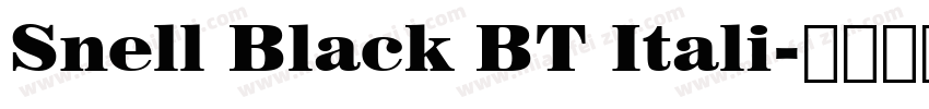 Snell Black BT Itali字体转换